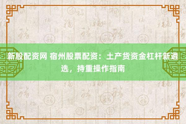 新股配资网 宿州股票配资：土产货资金杠杆新遴选，持重操作指南